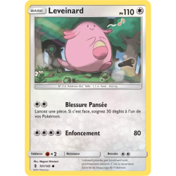 Leveinard GRI - 101/145