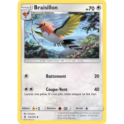 Braisillon GRI - 110/145