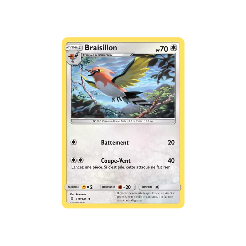 Braisillon GRI - 110/145