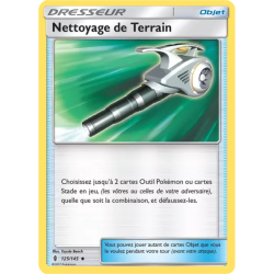 Nettoyage de Terrain GRI - 125/145