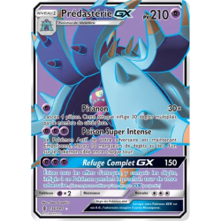 Prédastérie GX GRI - 136/145